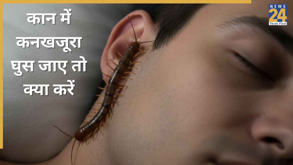 कान में कनखजूरा घुस जाए तो क्या करें? एक्सपर्ट ने बताया घर की इस एक चीज से निकल जाएगा कीड़ा