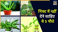 Vastu Tips