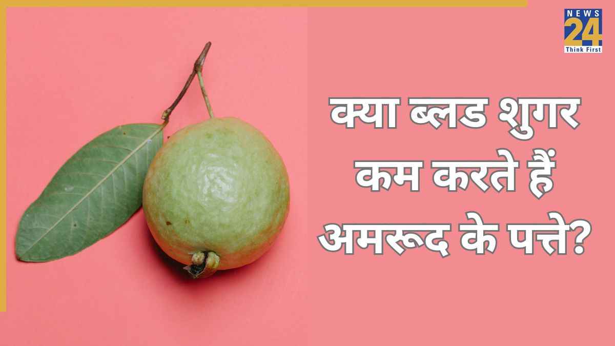 क्या अमरूद के पत्ते शुगर कम करते हैं? एक्सपर्ट ने बताया डायबिटीज में कौन सा पत्ता है बेहद फायदेमंद
