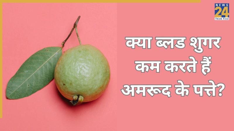 Guava Leaves In Diabetes