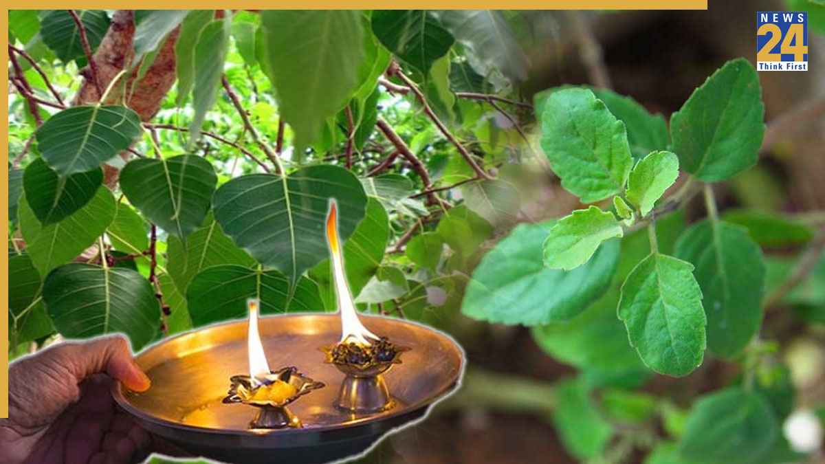 Hindu-Dharma