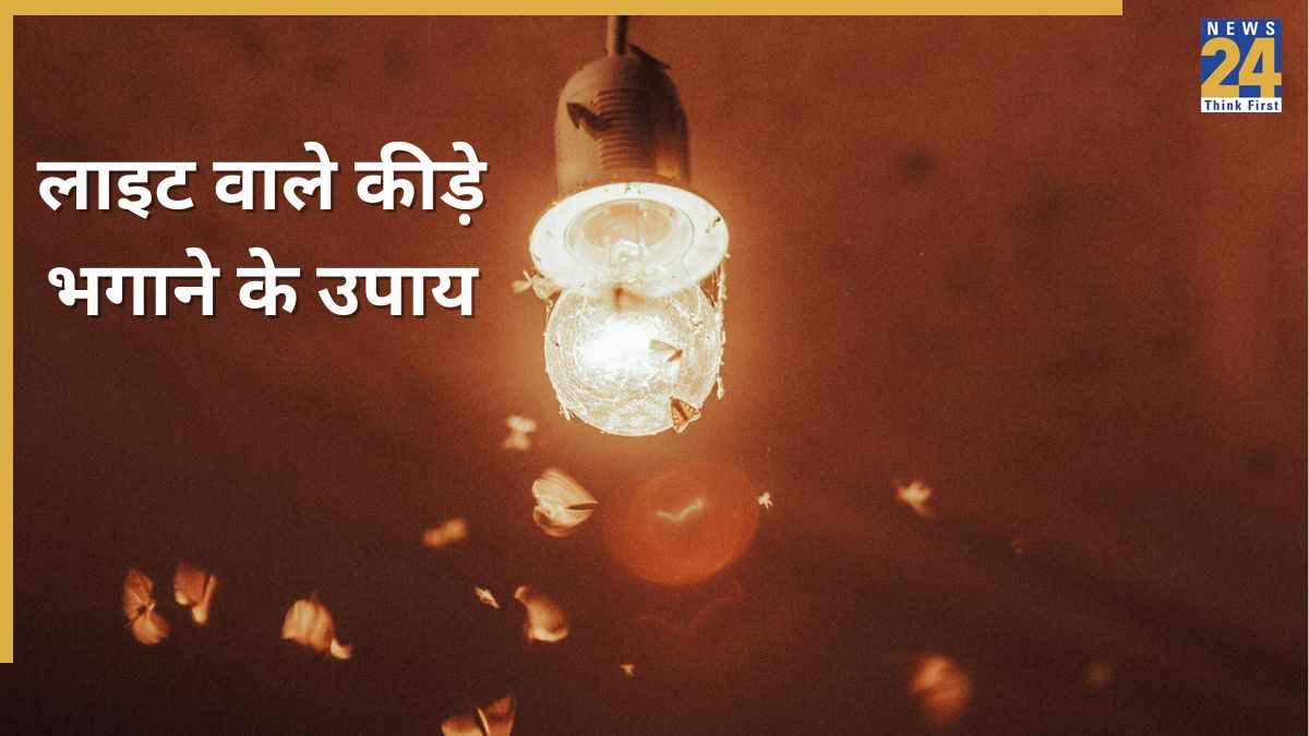 बल्ब जलाते ही उड़ने वाले कीड़े आ जाते हैं? यहां जानिए लाइट के कीड़े भगाने के उपाय