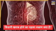 Kidney Damage