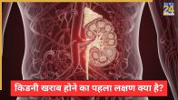 Kidney Damage