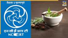 अब NCERT में पढ़ाया जाएगा जड़ी-बूटी का विज्ञान, छात्र सीखेंगे आयुर्वेद के गुर