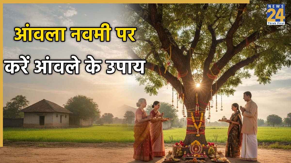 Amla Navami 2025