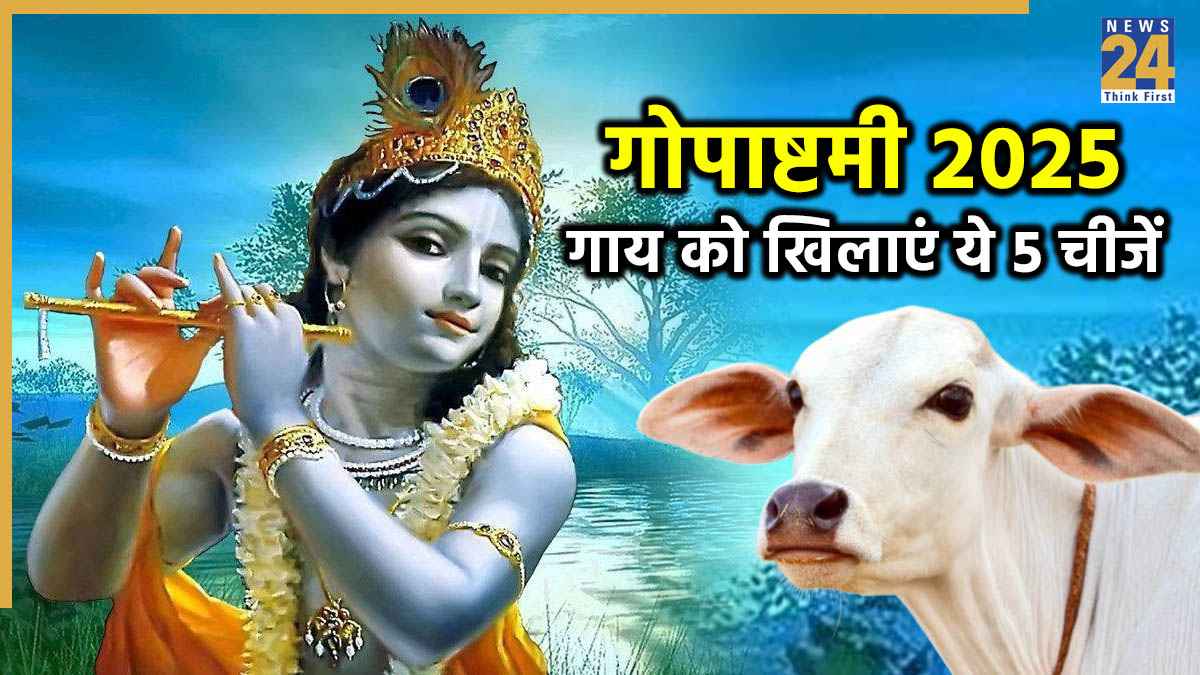 Gopashtami 2025: गोपाष्टमी पर गाय को खिलाएं ये 5 चीजें, नौकरी और व्यापार में मिलेगी तरक्की जीवन में आएगी शुभता
