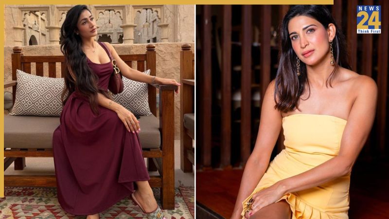 Rise And Fall, Ahana Kumra, Ahana Kumra Claims Dhanashree playing Victim Card