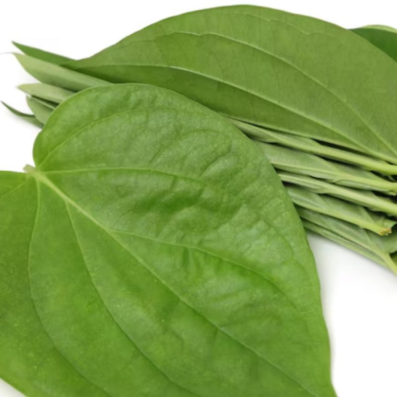 betel leaf health benefits-1-2-3