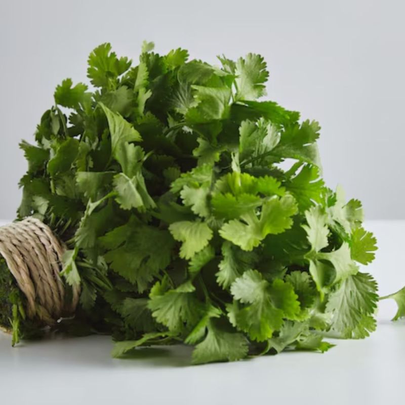 How to store coriander How to store coriander-1-2-3-4