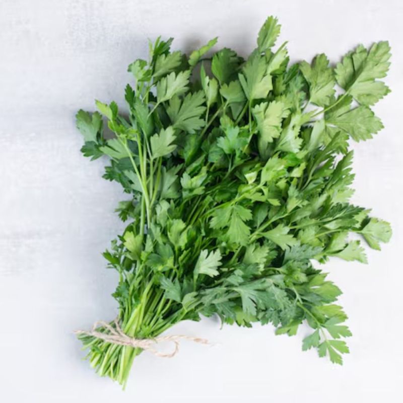 How to store coriander How to store coriander-1-2-3-4-5