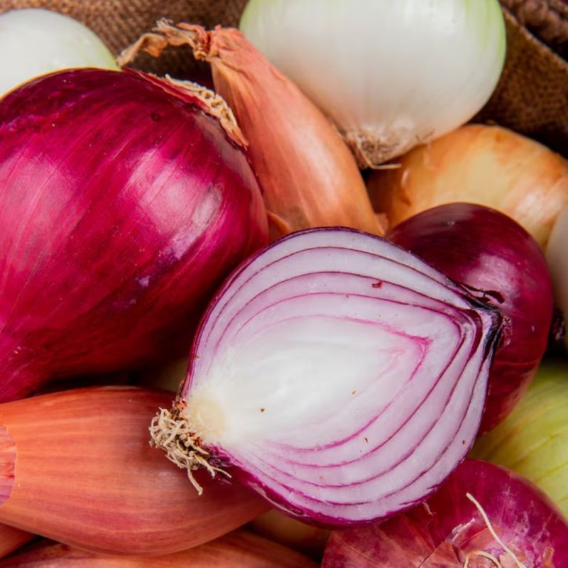 onion cutting onion cutting-1-2-3