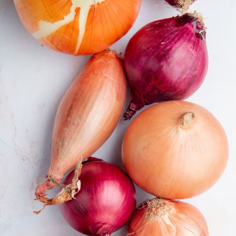 onion cutting onion cutting-1-2-3-4