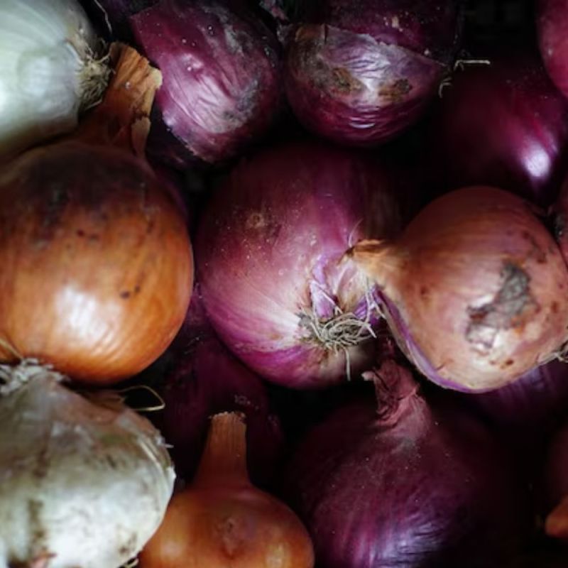 onion cutting onion cutting-1-2-3-4-5-6