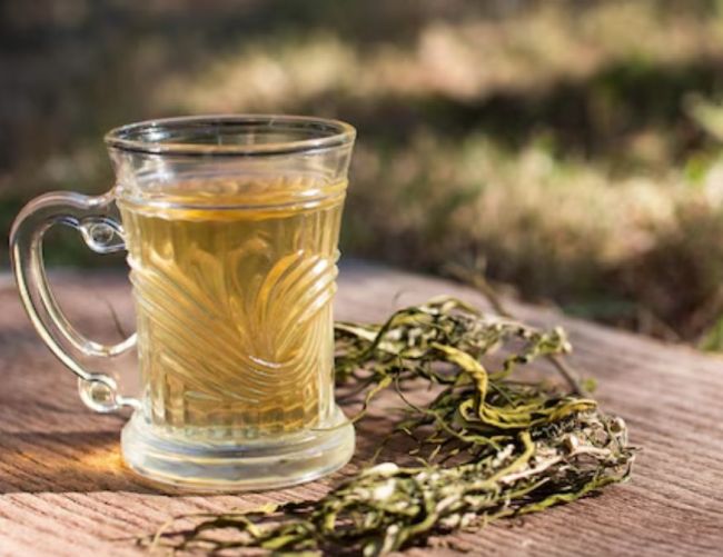Fennel water benefits-1-2-3-4-5-6