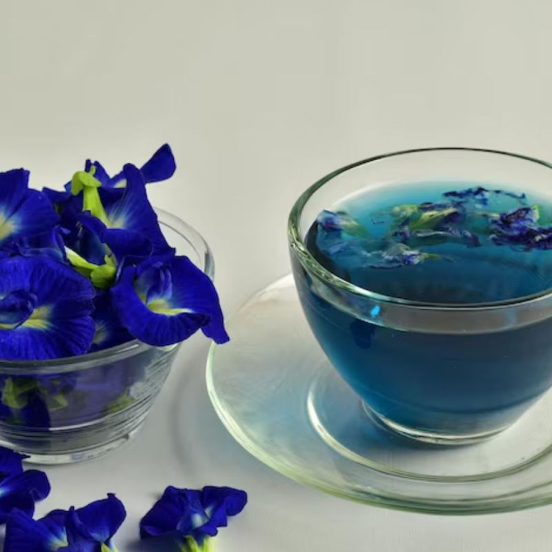 Blue tea-1-2