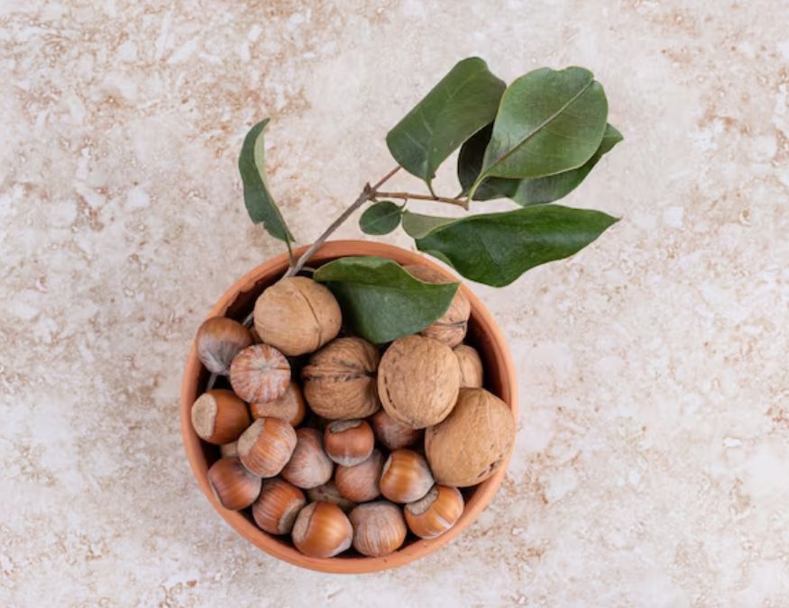 nutmeg health benefits nutmeg health benefits-1-2-3