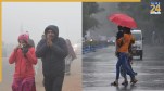 imd weather update