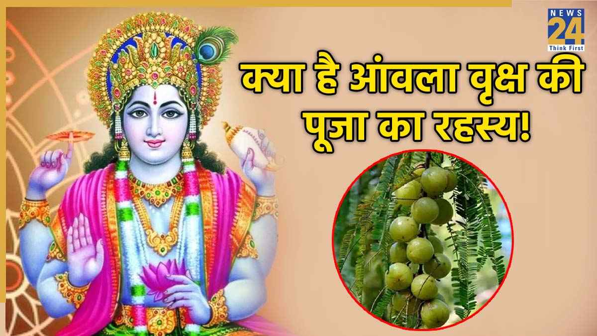 akshay-navmi