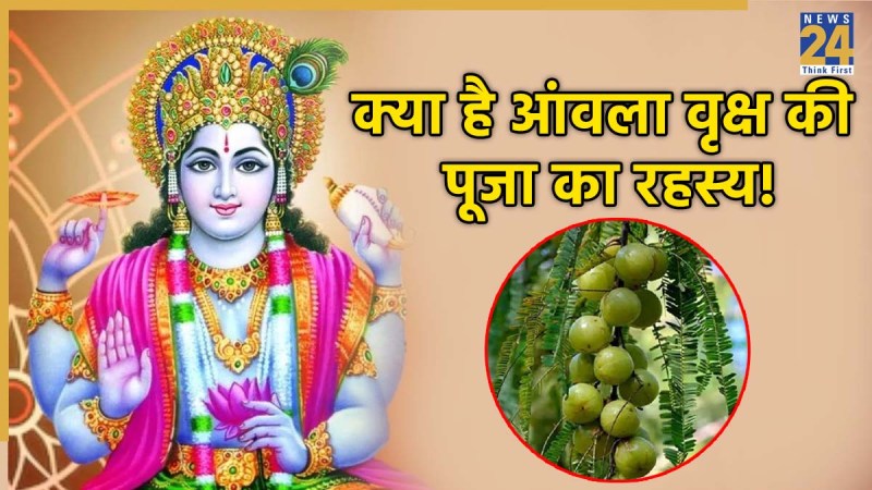 akshay-navmi