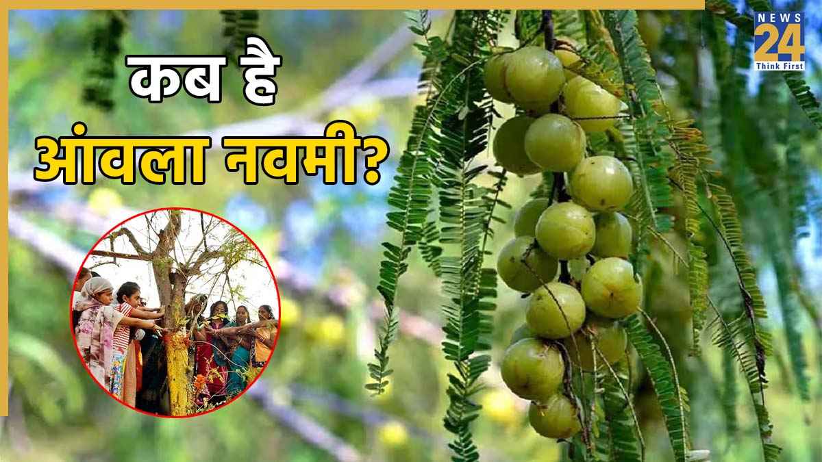 Amla Navami 2025