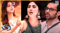 bigg boss 19, farhana bhat, ashnoor kaur
