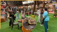 bigg boss 19, bigg boss 19 contestants