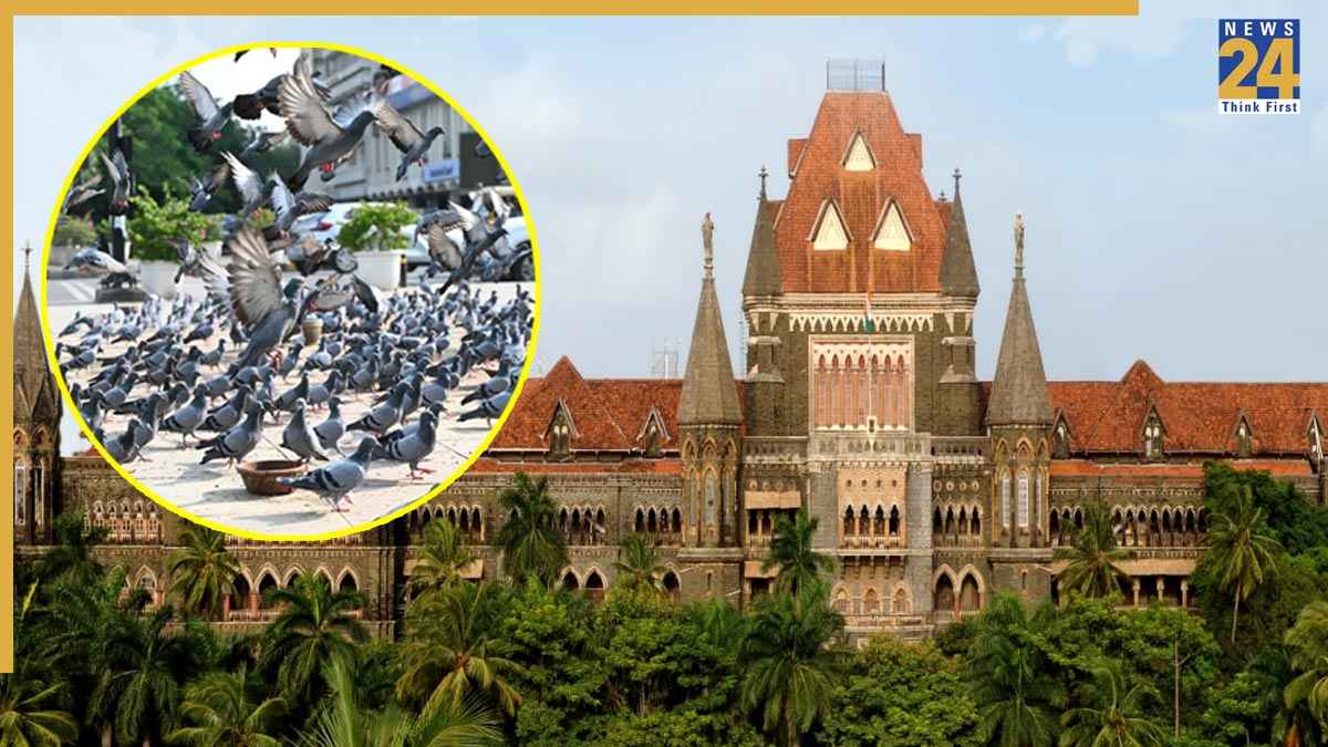 कबूतर विवाद से महाराष्ट्र में हलचल, जैन समाज ने नई पार्टी बनाकर फडणवीस सरकार को दी चेतावनी