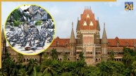 bombay high court