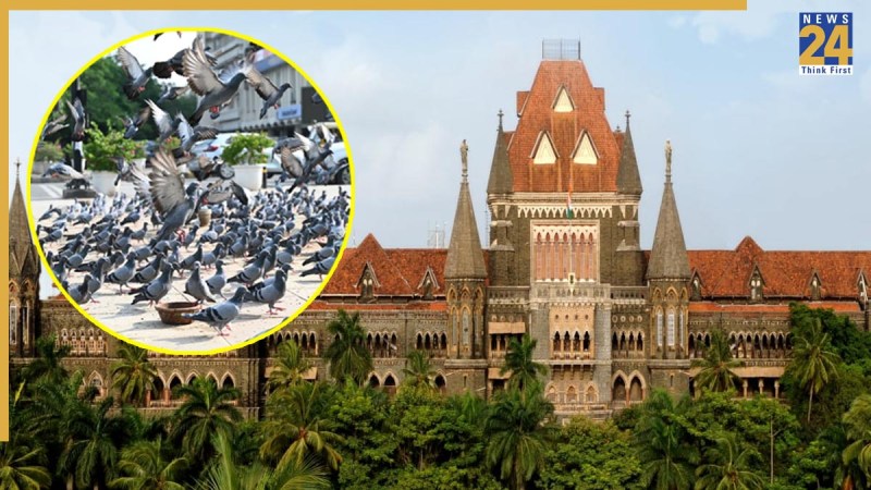 bombay high court