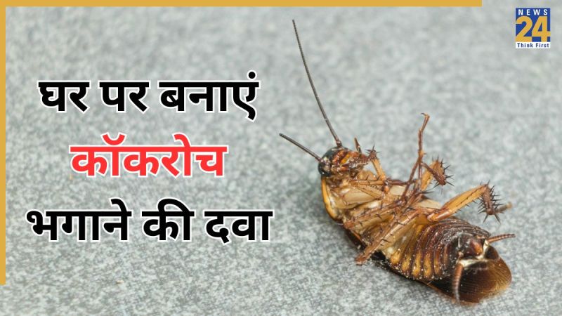 cockroach Home Remedies
