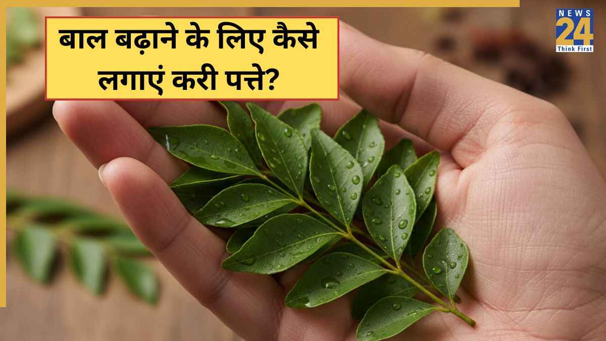 सिर पर इस तरह लगा लिया करी पत्ता तो घुटनों तक लंबे हो सकते हैं बाल, यहां जानिए कमाल का घरेलू उपाय