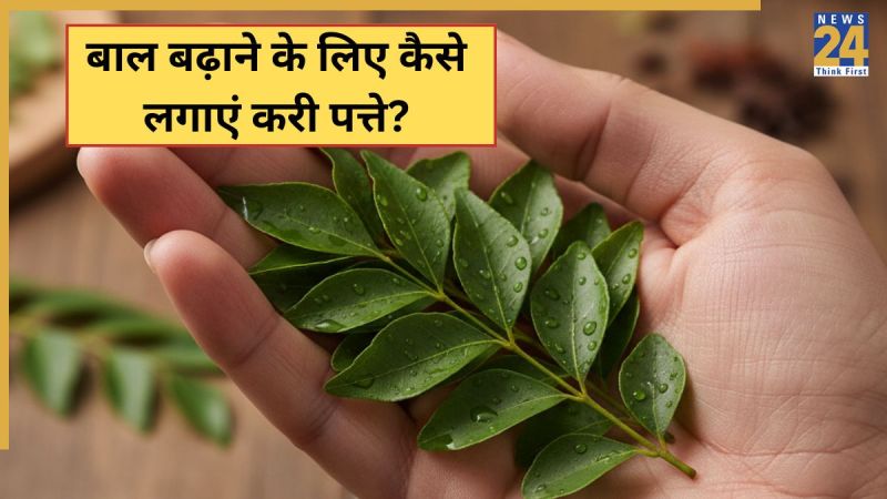 curry leaves curry leaves for hair