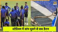 Snake slithers in during India women's training in Colombo