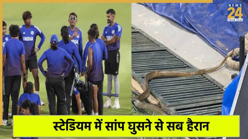 Snake slithers in during India women's training in Colombo