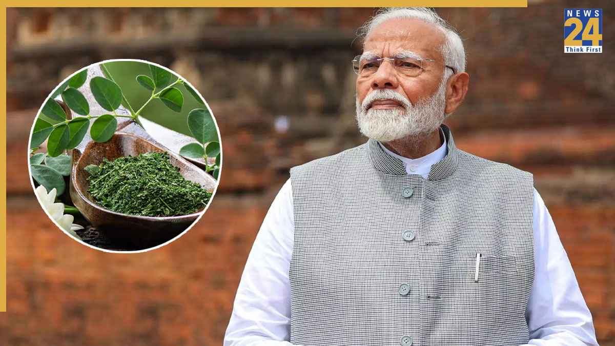 ये पत्ता है हार्ट की बीमारियों पर असरदार, PM Modi खुद करते हैं सेवन, डॉक्टर ने दी खाने की सलाह