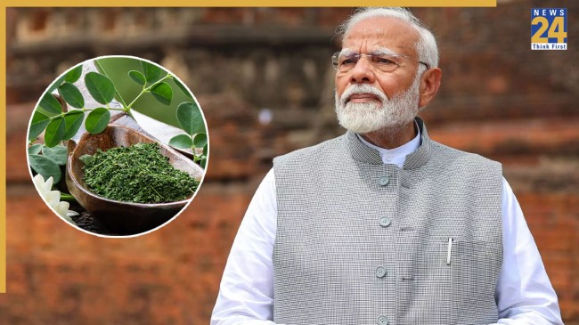 Drumstick leaves health benefits