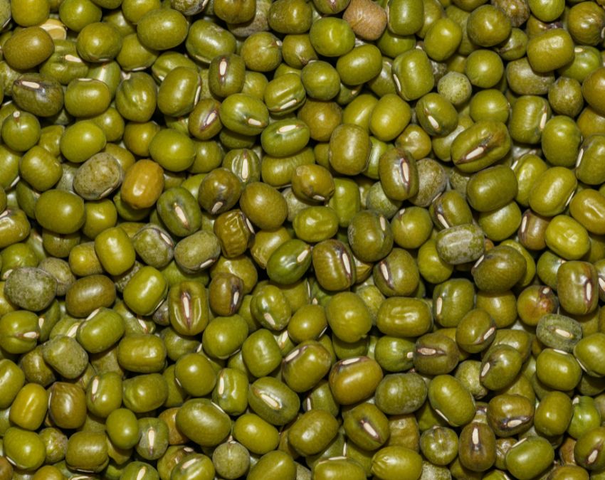Lentils For Cholesterol-1-2-3-4