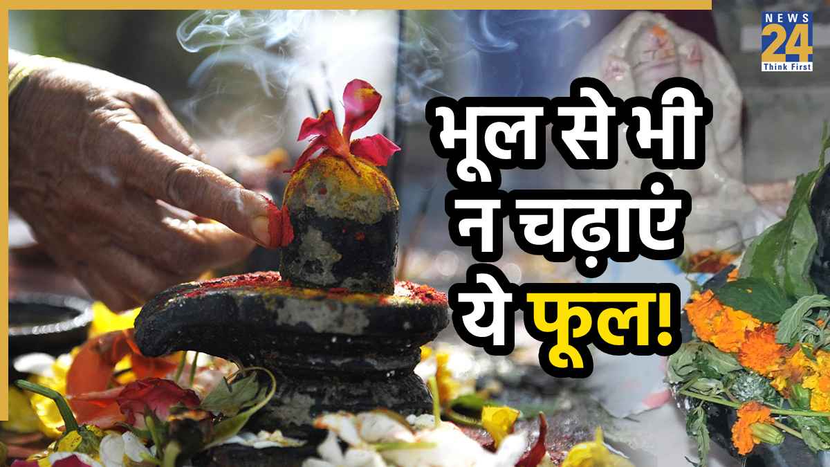 Shivling Puja Rules: घर में रखते हैं शिवलिंग तो न करें ये 8 काम, भगवान शिव हो जाएंगे नाराज