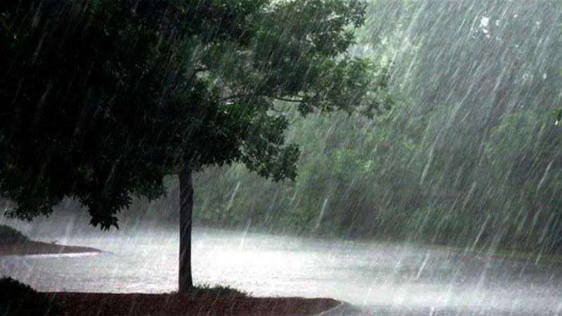 RAIN (2) -1-2-3-4-5-6