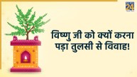 vishnu-tulsi-vivah-2025