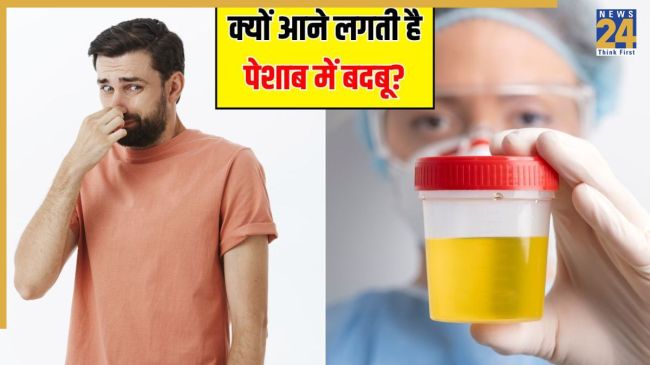 Urine Smell Urine Smell