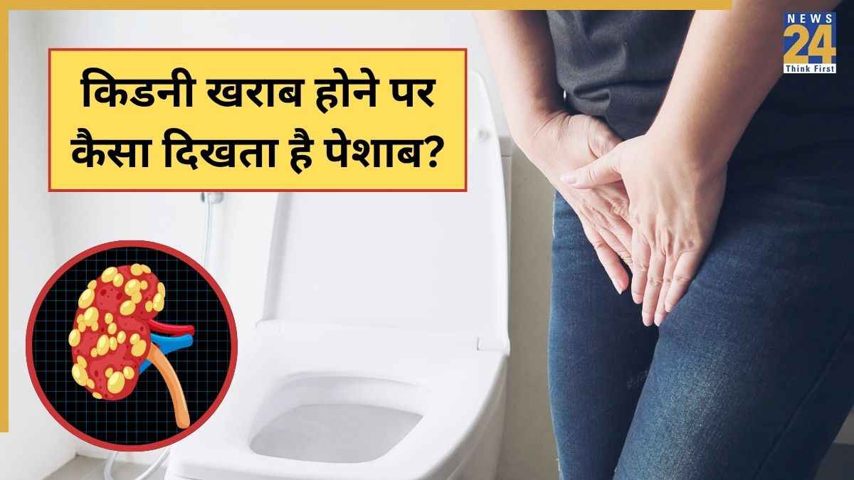 Kidney Damage Symptoms