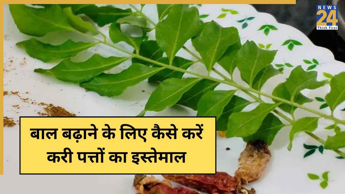 बाल बढ़ाने के लिए कैसे करें करी पत्ते का इस्तेमाल? न्यूट्रिशनिस्ट ने कहा 30 दिन में दिखेगा असर, लंबी होने लगेंगी लटें