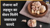 raw garlic benefits