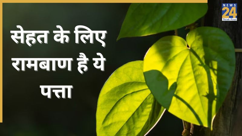 betel leaf health benefits-1