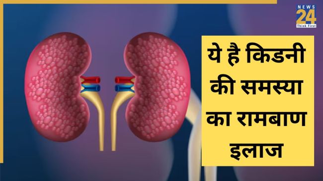 kadha for kidney