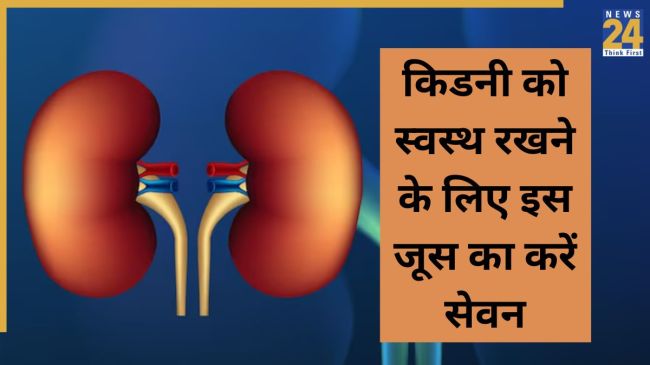 Healthy kidney