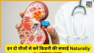 natural remedy for kidney problems