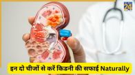 natural remedy for kidney problems